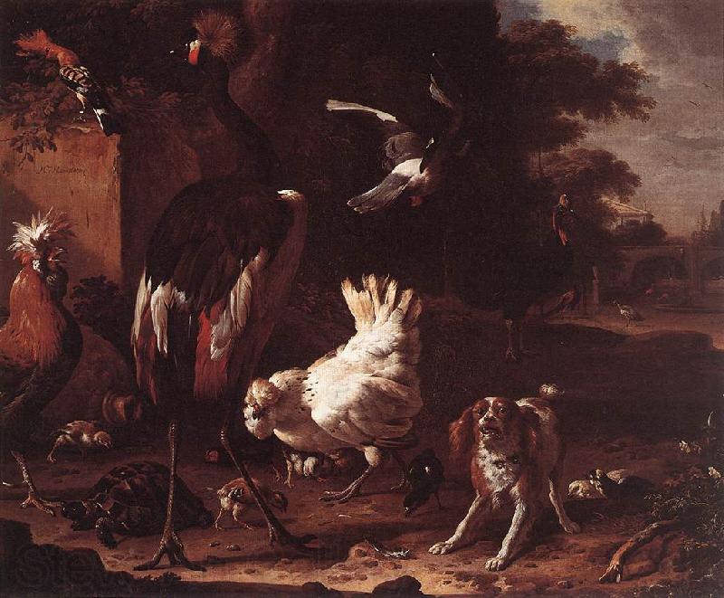 HONDECOETER, Melchior d Birds and a Spaniel in a Garden sf France oil painting art